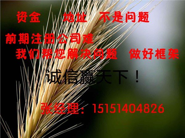 供应2013在苏州全区注册公司  有我们实际做到最好的服务