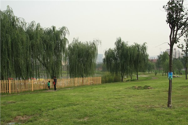黑龙江鹤岗市好的园林绿化公司 华曦园林是首先