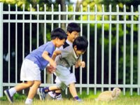 镀锌管,光亮管哪里找？来威普看看，行业最高性价比