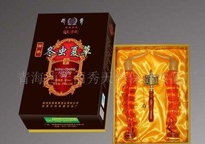 供应鲜冬虫夏草