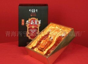 供应抗疲劳鲜冬虫夏草