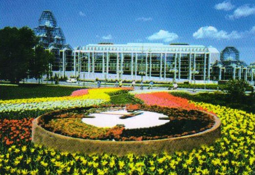 花坛钟