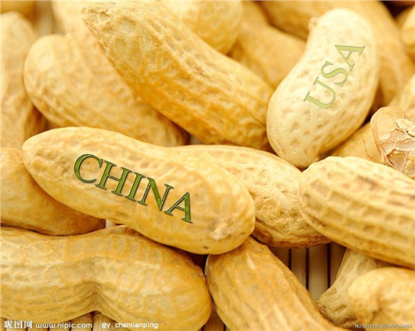 干果炒货类  散装花生