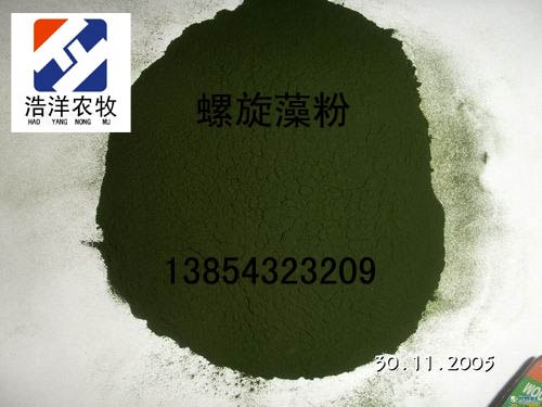 供应优质螺旋藻粉