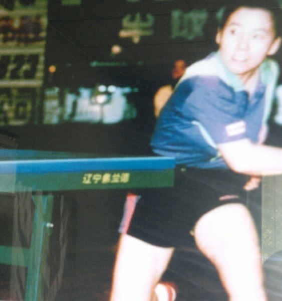 乒乓球台弗兰德乒乓球台一台多少钱