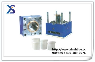 供应涂料桶注塑模具厂