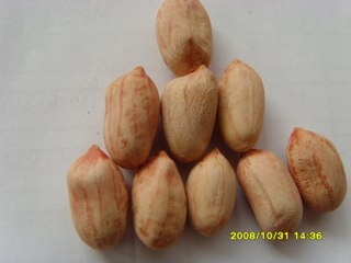 五香花生技术