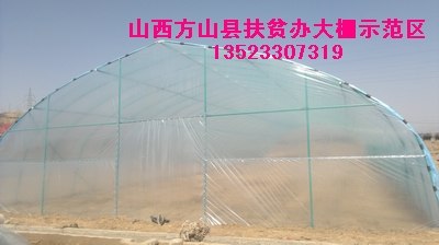 供应无支柱大棚骨架机钢架大棚骨架机日光钢管大棚