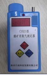 供应氧气测定器-CYH25