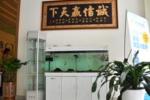 蛀牙怎么治疗，龙华蛀牙治疗，西乡蛀牙治疗，沙井蛀牙治疗