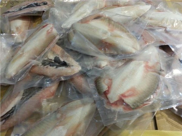 台湾进口野生虱目鱼肚