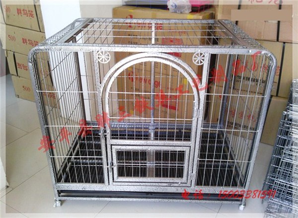供应宠物笼 宠物展示笼