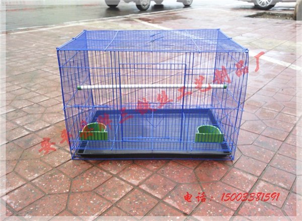 供应宠物笼宠物展示笼宠物寄养笼