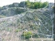 金润发是优质的刺绳网厂家，款式齐全，质量保证