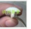 百度推荐PVC密封条产品展示/PVC密封条厂家/清河新亚