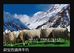 长沙哪里可以制作宣传片 湖南三维动画制作 长沙曦光文化传播