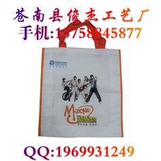 北京专业无纺布烫画袋手提袋，北京定做无纺布烫画袋加工厂