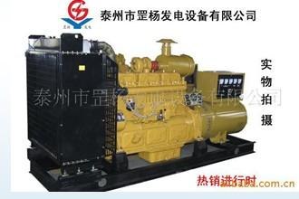 罡杨最新产品..柴油发电机组