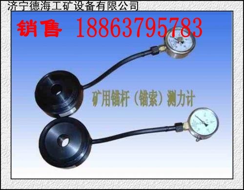供应德海牌煤矿锚索测力计出厂价销售