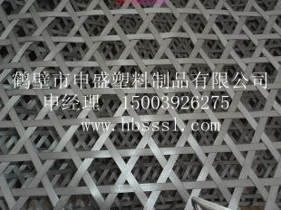 供应塑料阻燃网塑料护帮网塑料阻燃带