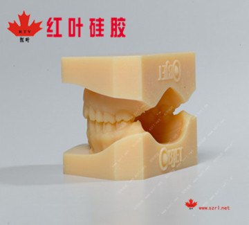 供应食品级牙模硅胶