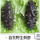 青岛崂山农家宴 青岛农家乐 崂山农家乐 正强农家宴（图）