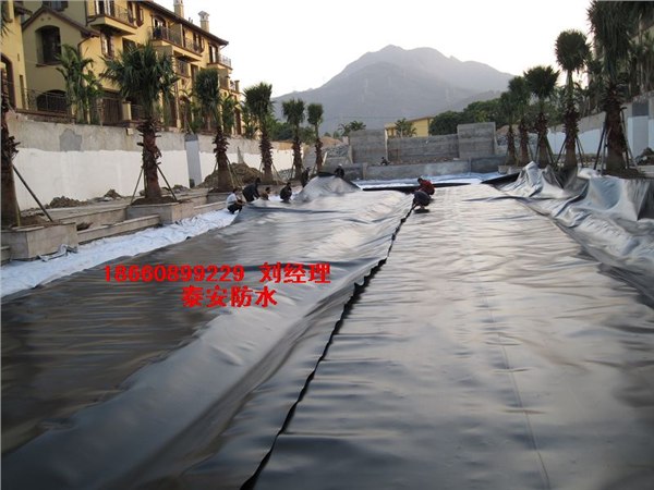供应城市绿化防渗膜土工膜排水板无纺布复合土工膜