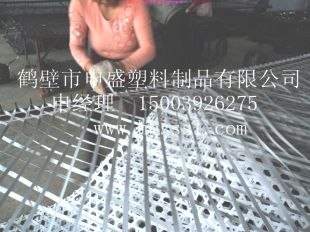 供应塑料编织网井下用护顶网