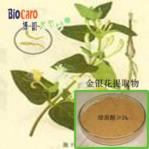 供应金银花提取物