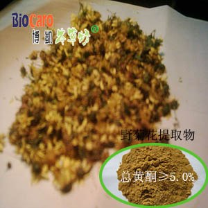 供应野菊花提取物