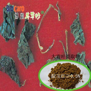 供应大青叶提取物
