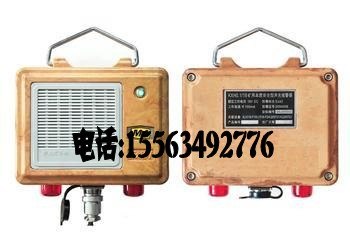 供应矿用本质安全型声光报警器保质保价