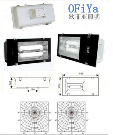 供应150W250W隧道灯灯具