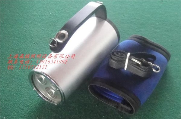 供应TZ1210固态手提防爆探照灯