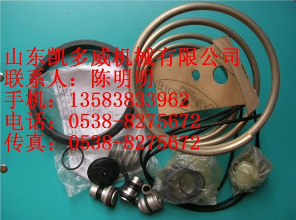 QUINSYN PG 油维修包G80518555-002
