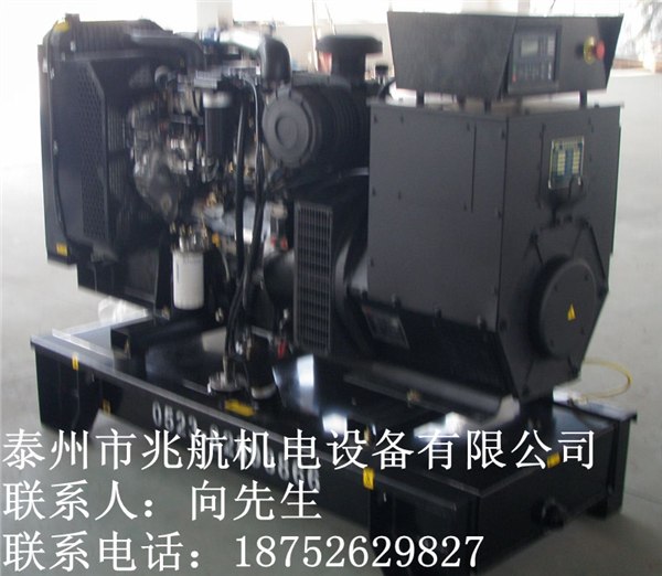 供应珀金斯发电机组