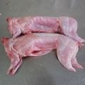 供应盛达批发冷冻食品整兔 兔头 兔腿