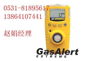 供应氨气检测仪/氨气泄漏检测仪GAXT-A