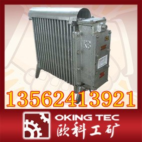 供应电热取暖器  取暖器 价格