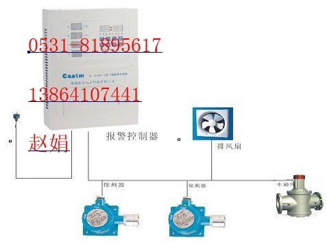 供应氨气报警器|氨气浓度报警器CA-2100
