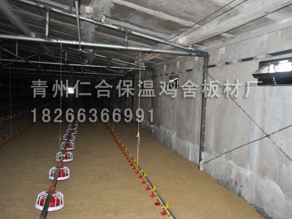 山东哪里有批发鸭舍专用板的？