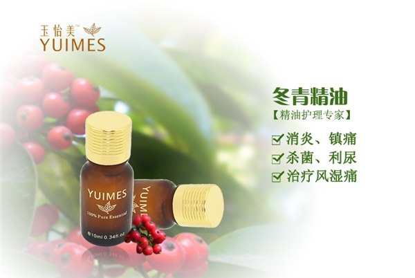 ?精油厂家直批 冬青精油 单方精油 香薰油 加盟代理