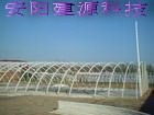 安阳花卉大棚，蔬菜大棚、花卉大棚、温室大棚、种植大棚、养殖大