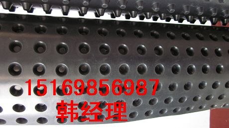 供应淄博车库排水板+价格+淄博塑料排水板+单价+