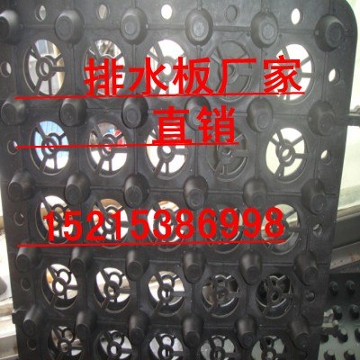 供应石家庄排水板塑料排水板厂家