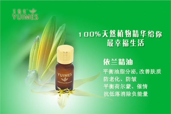 ?精油厂家直批 纯天然有机精油 依兰精油 单方精油