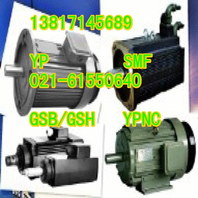 供应SNMA电机厂商/GSB/GSH高速变频电机价格