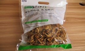 供应瑞佰利滑子菇