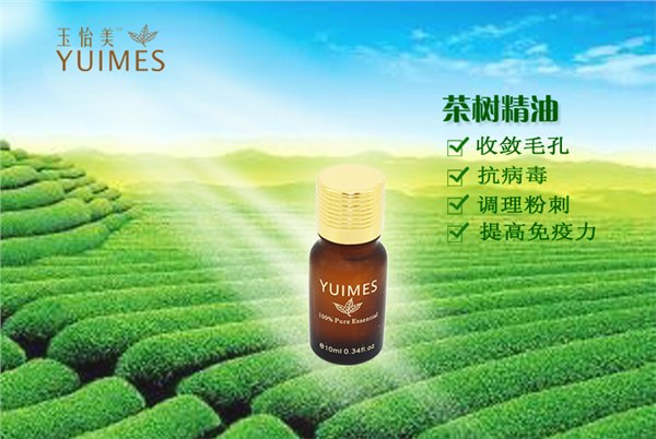 品牌精油批发 法国玉怡美茶树精油 单方精油 精油生产厂家招商