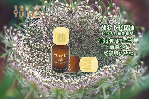 厂家直批 有机天然精油 胡萝卜籽精油 单方精油